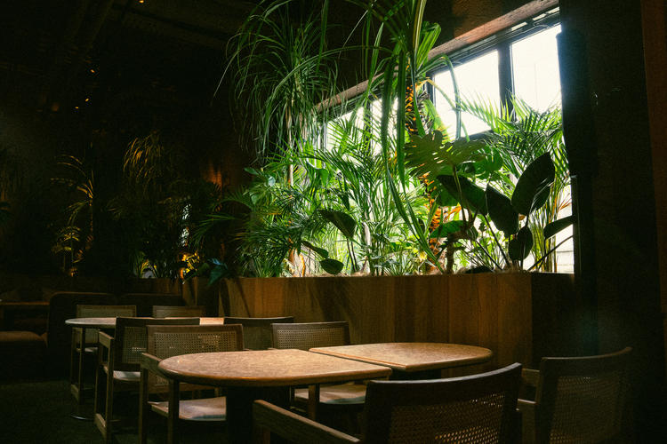 NÜCHI by WPÜの詳細画像7