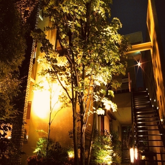 夜には中庭がライトアップ