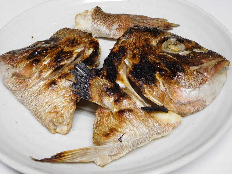 魚の知識がトコトン身につく◎