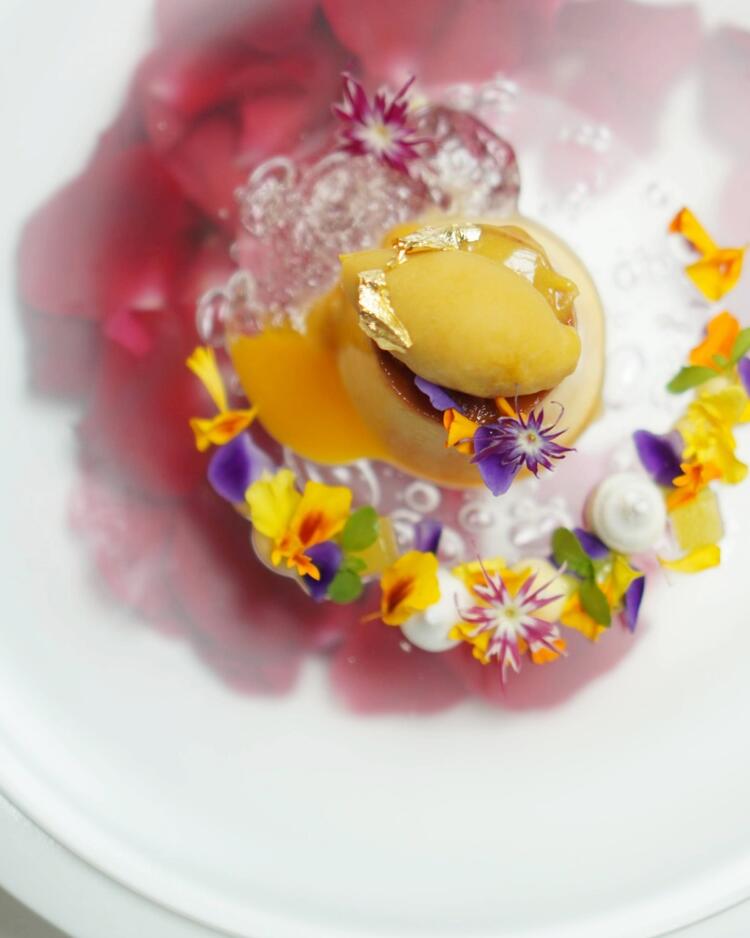 ワンランク上のスキルが身につく