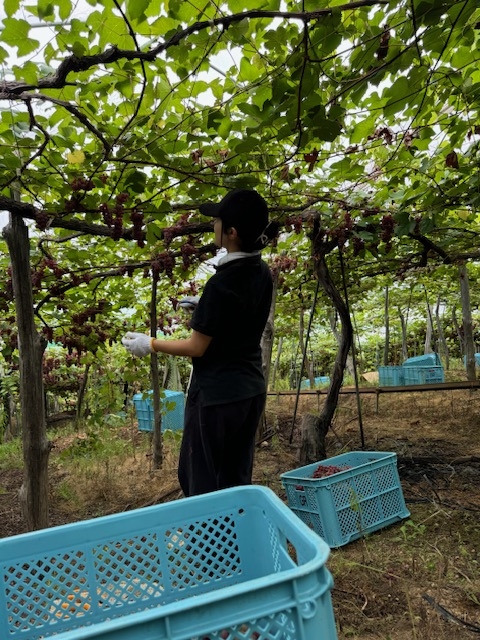 ワイナリー訪問も実施★