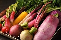 農家さんより届く季節の野菜
