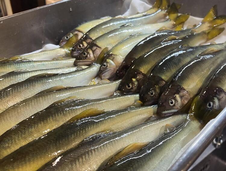 20代の若手スタッフも活躍中★