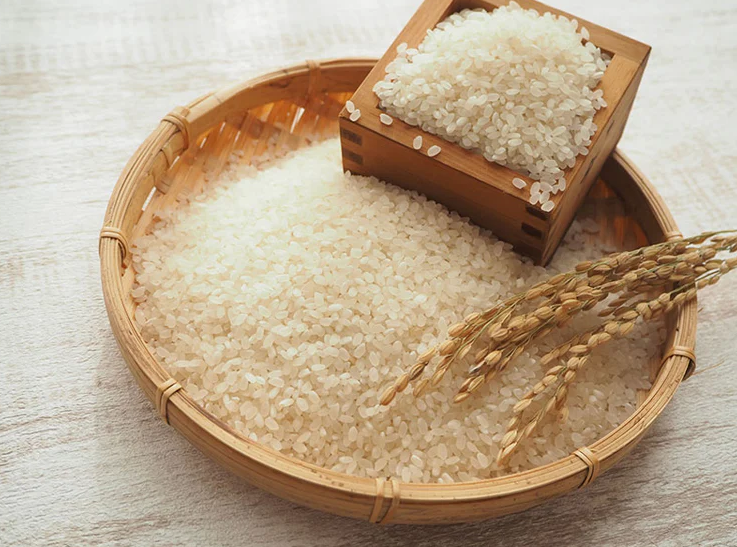 食材にもこだわっています