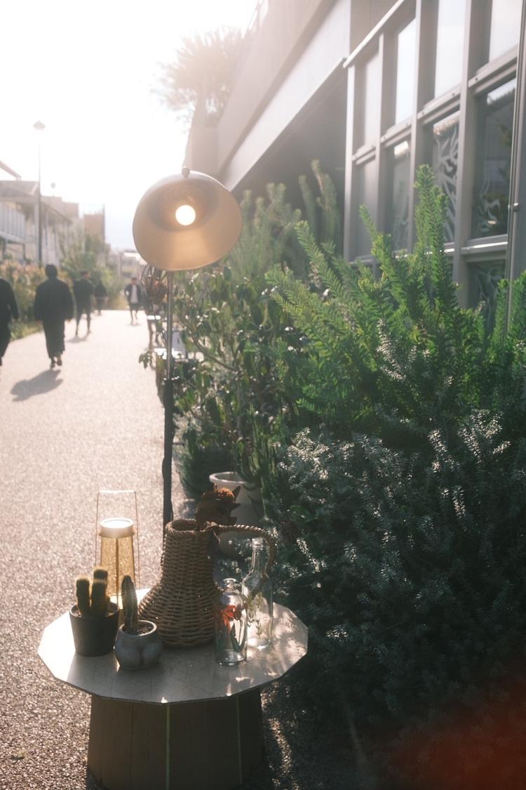  胃袋にズキュンの詳細画像2