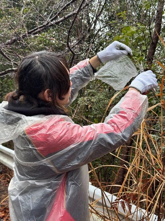 半田の里山に山菜を取りに行くことも◎
