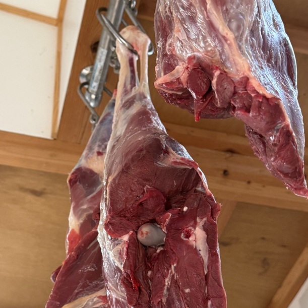 Flammesの詳細画像7