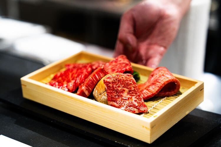 合言葉は「どすこいわっしょい！」