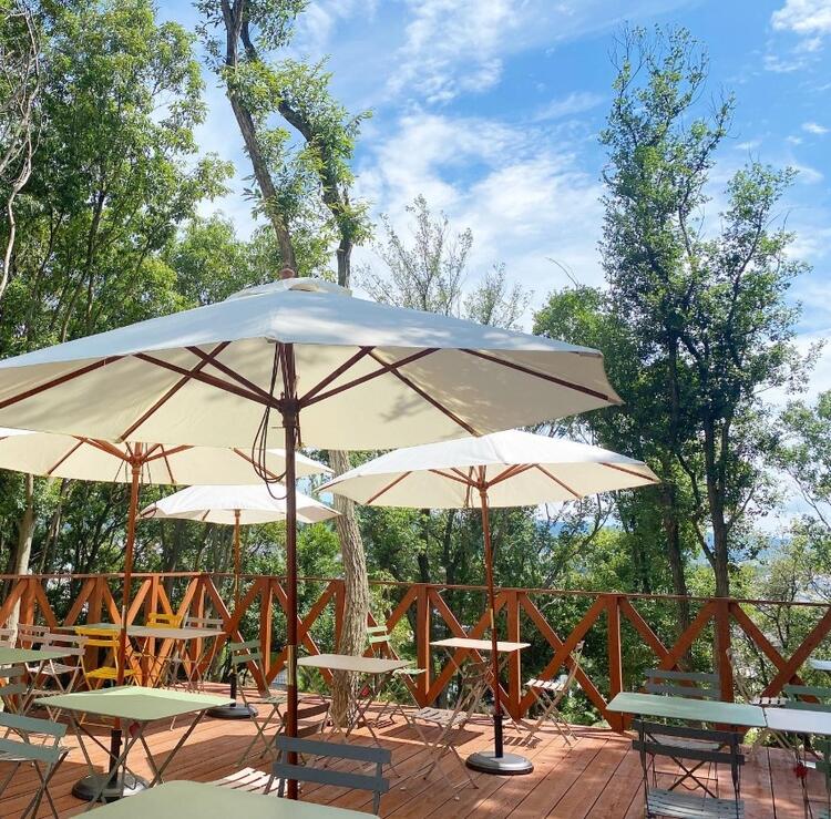 ペット可のテラス席でおもてなし