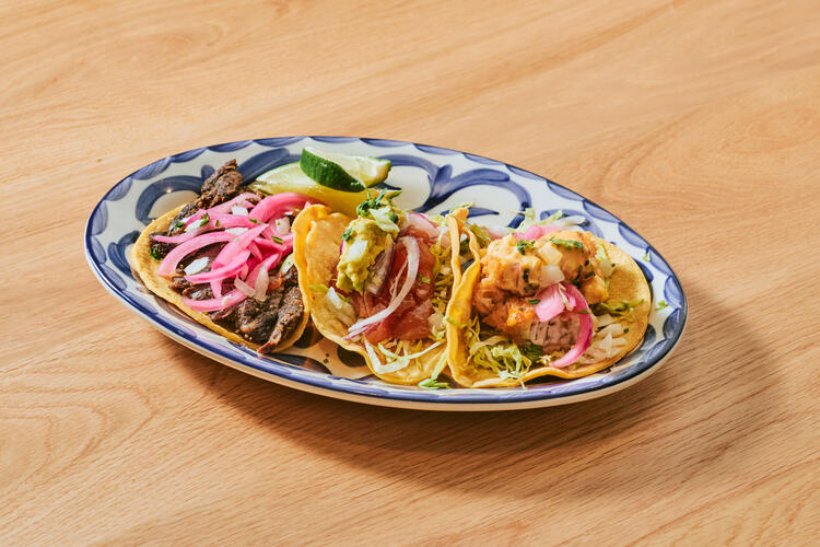 あなたのスキルを活かしませんか？