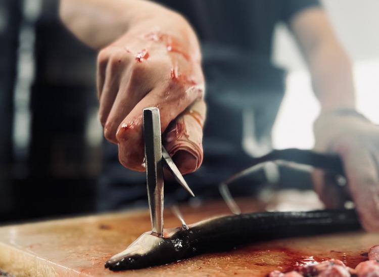 毎日朝〆のうなぎを捌きます！