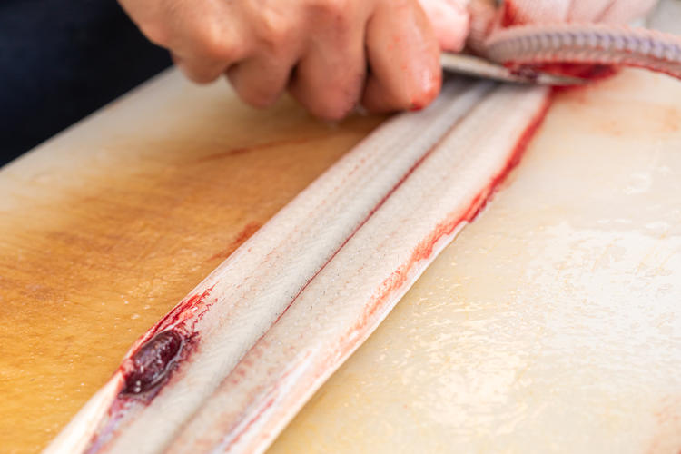 こだわりのうなぎ料理をご提供します