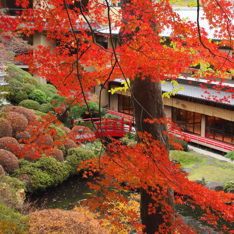 四季の移ろいを感じながらお仕事