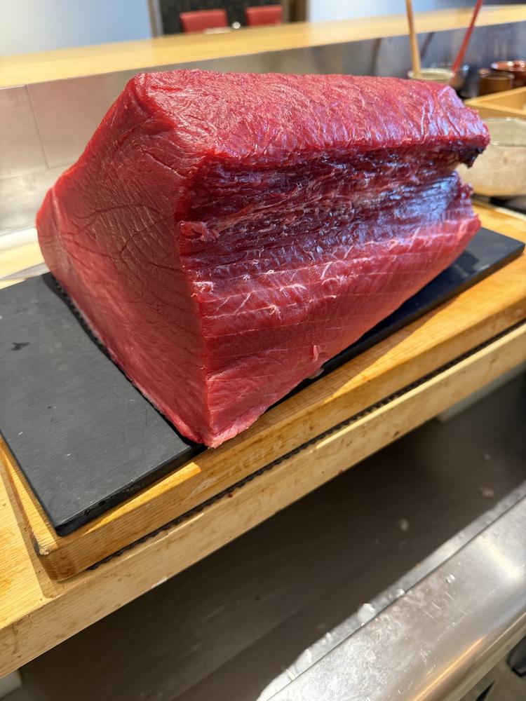 青森・三厩の本鮪