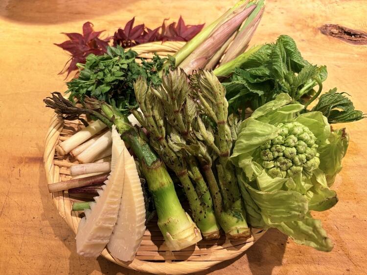 旬の食材を使った郷土料理をご提供