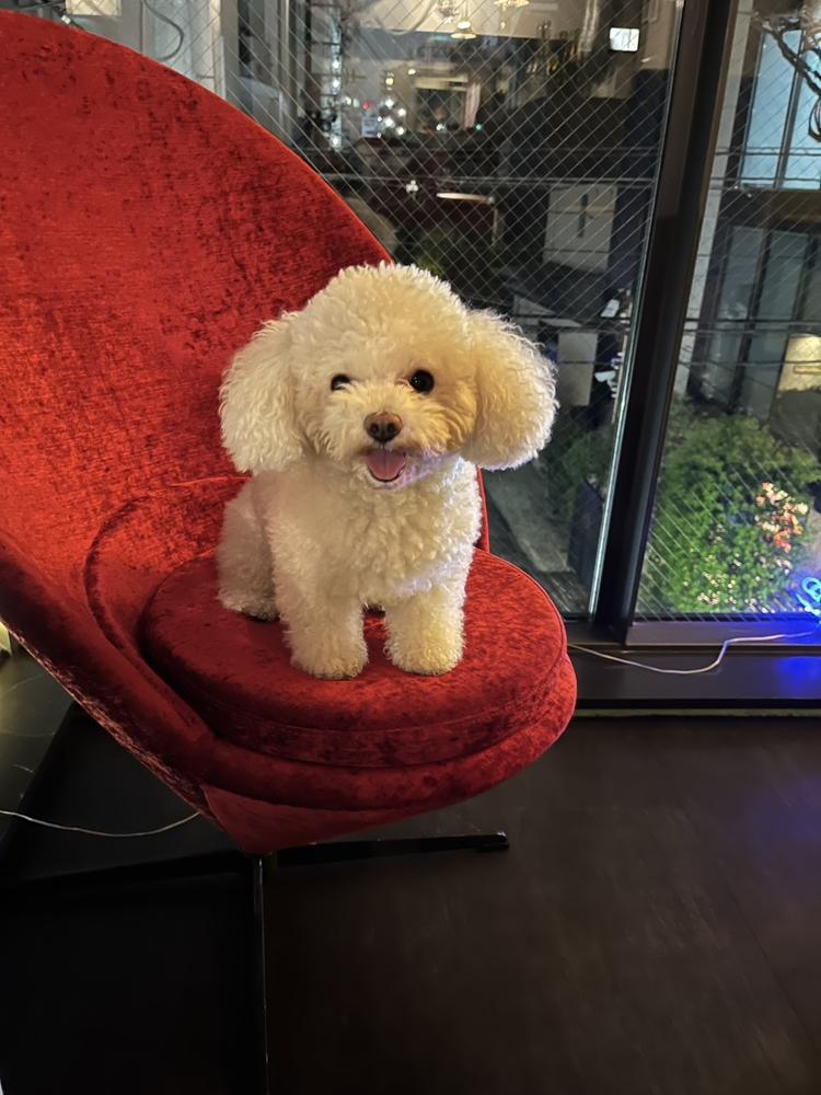 室内外ペットOK