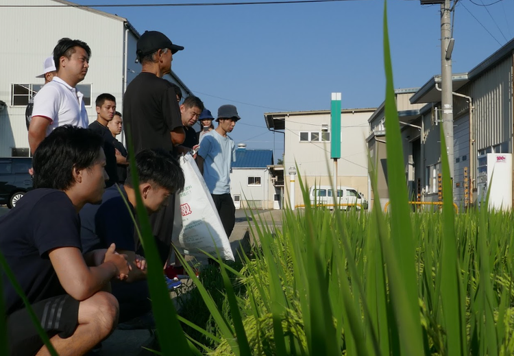 食材の背景を知る。それがプロの第一歩