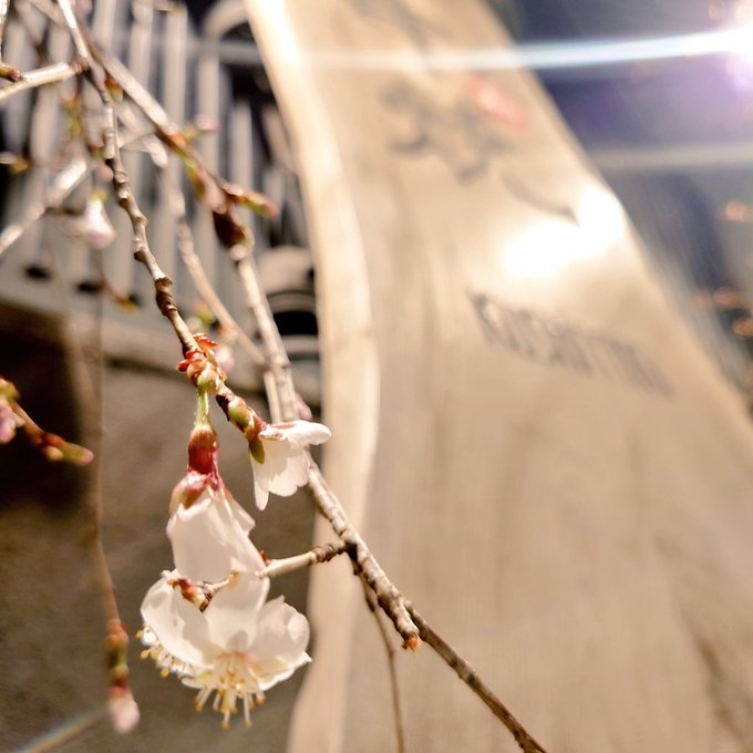 春夏秋冬と一期一会を楽しみましょう♪