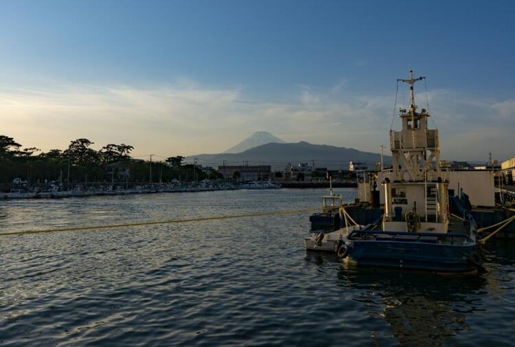 静岡の仲買業者が母体です※既存店写真