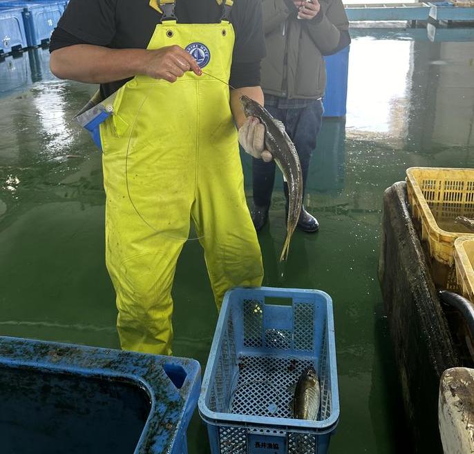 有名漁師との人脈も築けます