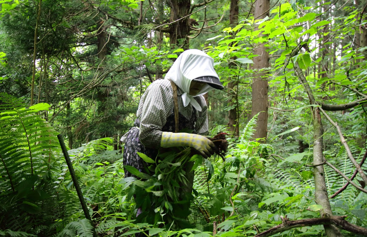 食材の背景を知る。それがプロの第一歩