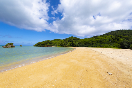 メニュー開発にもどんどん挑戦できます◎