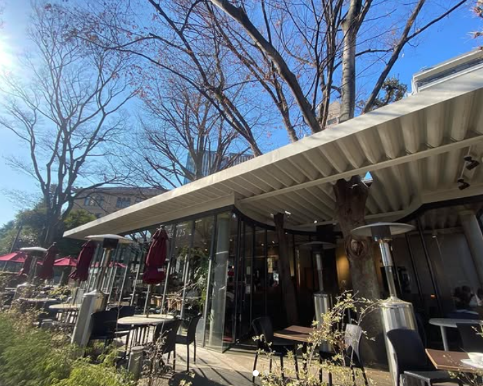 緑に囲まれた開放感あふれるカフェです🌳