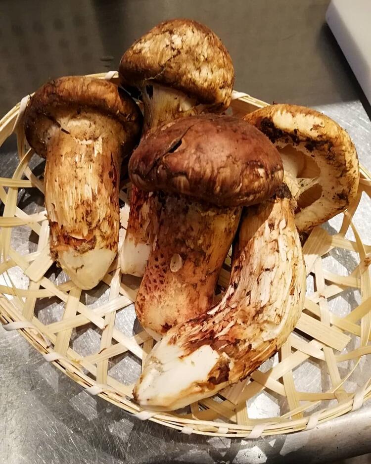 旬を大切に日替わりでメニューを展開◎