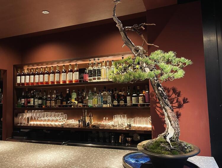 音楽好きで経験豊富なバーテンダー募集♪