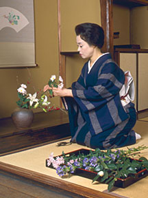 未経験からでも多くのスキルが身につきます