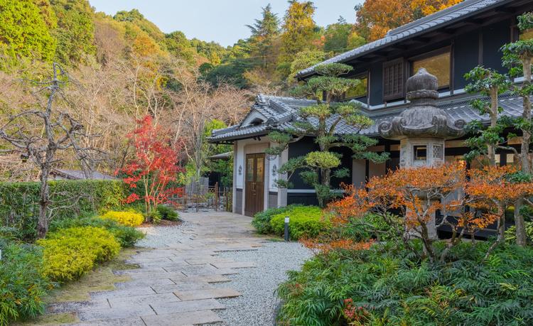 Le Raveの詳細画像2