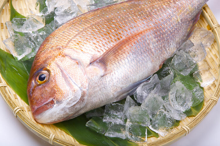 天然魚介を厳選！※画像はイメージ