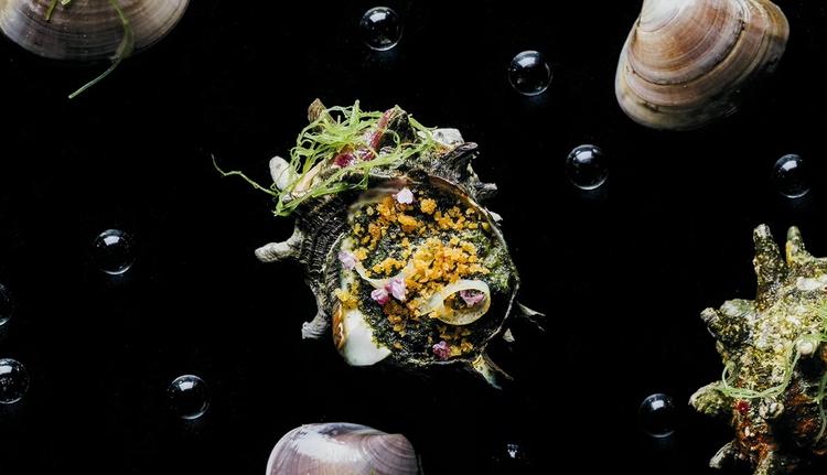 ジャンルにとらわれない多様な料理