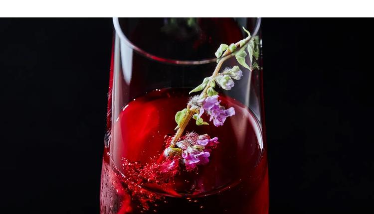 サービス・食の本質を学べる