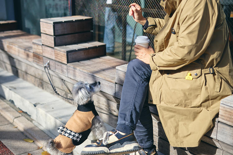 ご応募、お待ちしています！