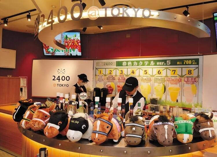 レース観戦ができることもあるかも！