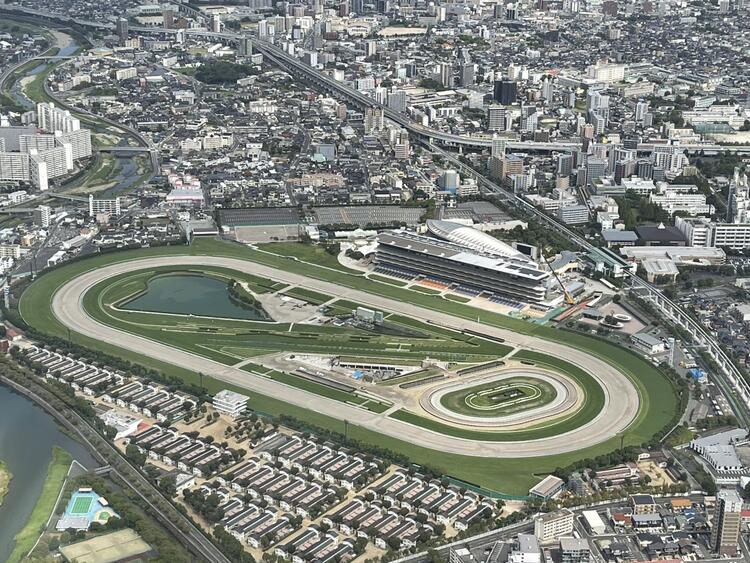 レースのドキドキ＆ワクワク感を楽しめる