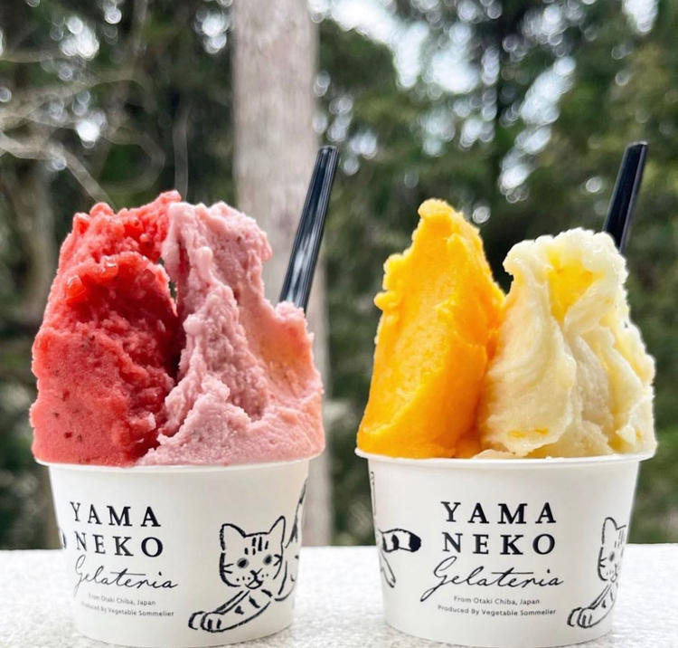 季節の食材を使ったジェラートづくり♪