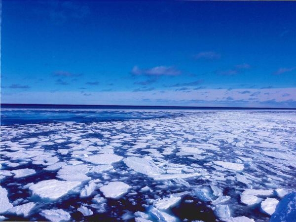 幌内町の流氷