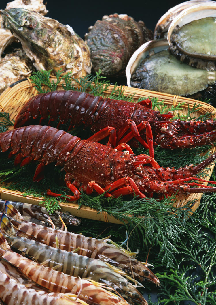 店名未定の詳細画像7