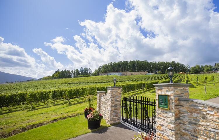  北海道・仁木町から世界へ挑む！