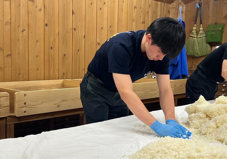 研修ではお酒の仕込みを体験