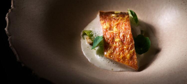 料理人として感性を磨ける仕事ができます