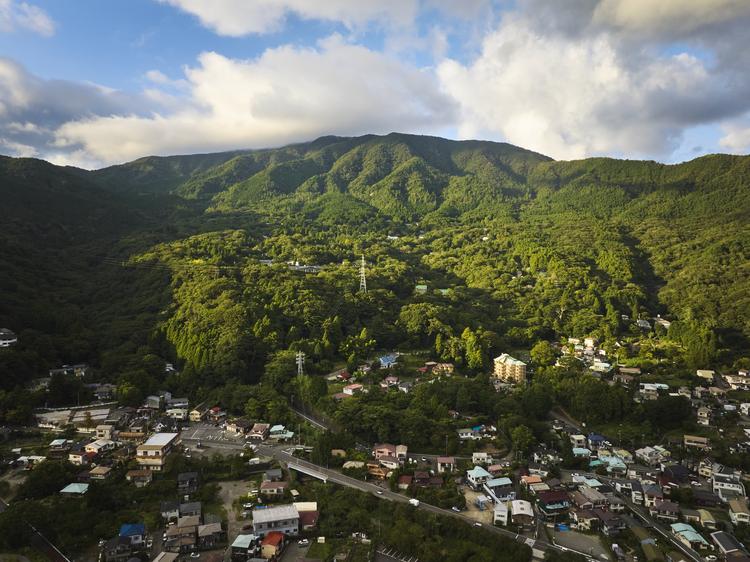 お店はこんな箱根の大自然に囲まれています
