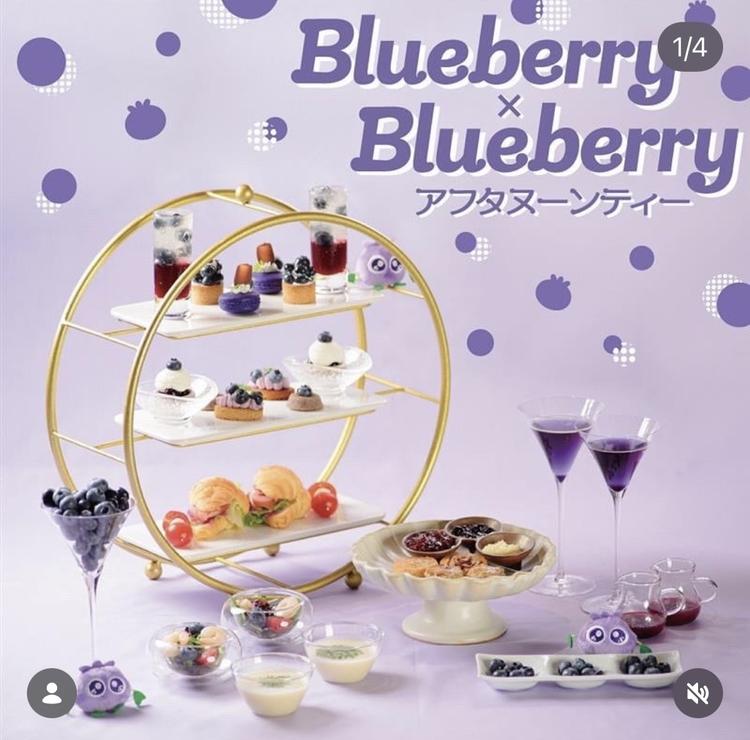 ブルーベリーの魅力あふれるお店です！