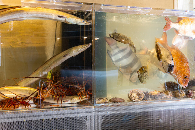 生け簀が店内にあります