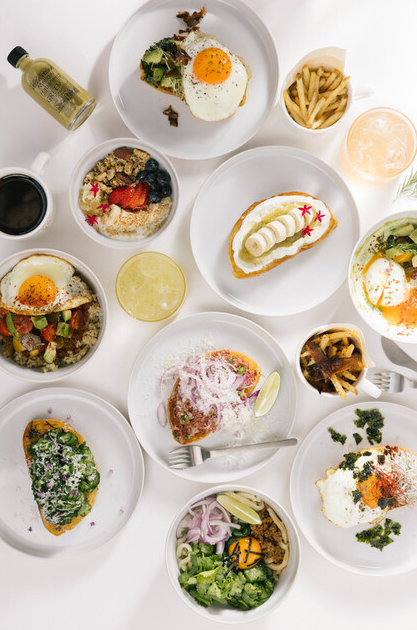 経験が活かせる環境あり◎