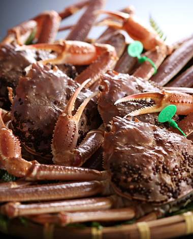 肉以外の高級食材もふんだんに使用