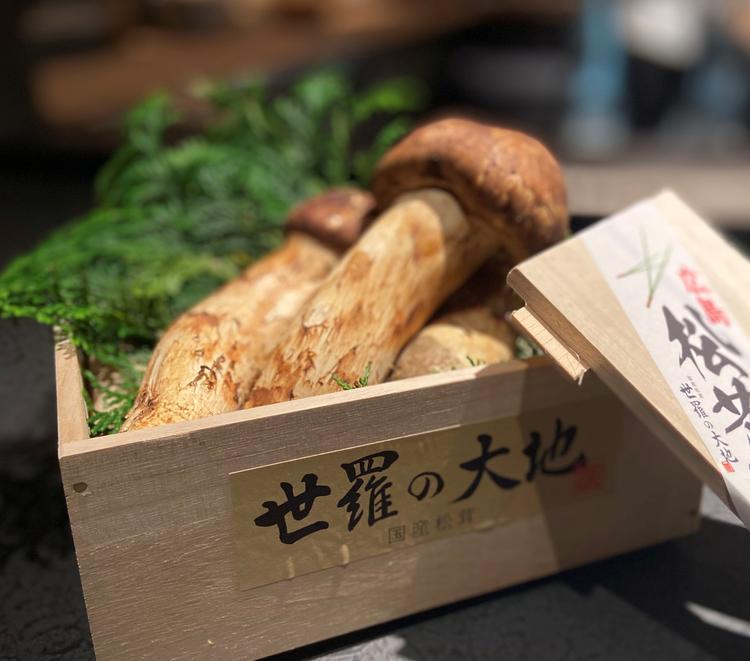 秋の味覚の王様　国産松茸