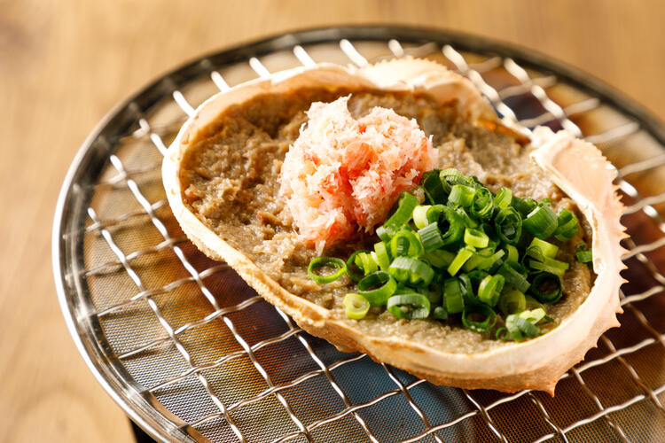 魚の専門技術が身につく